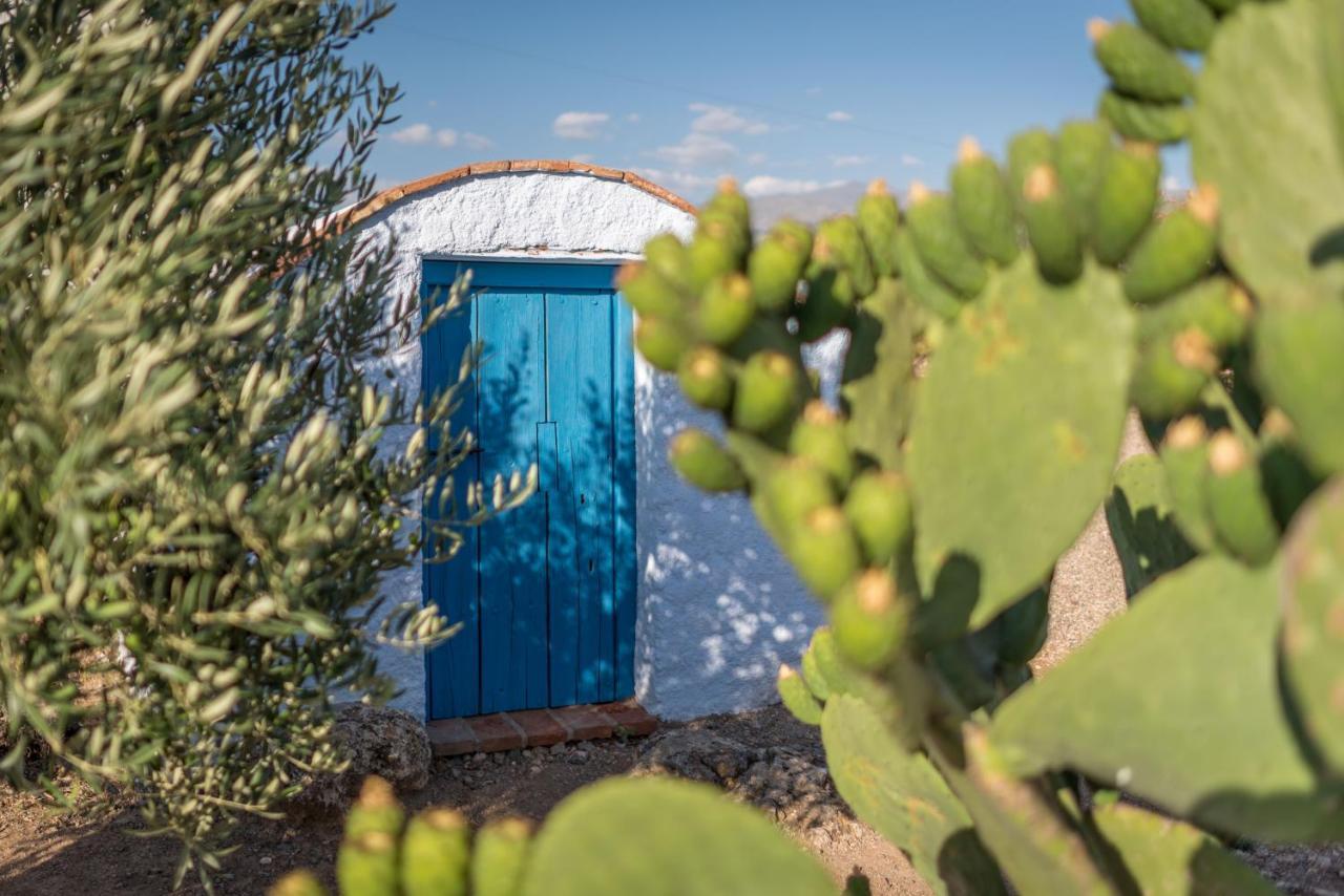 Al Agia - Mirador De Los Quinientos Padul ภายนอก รูปภาพ